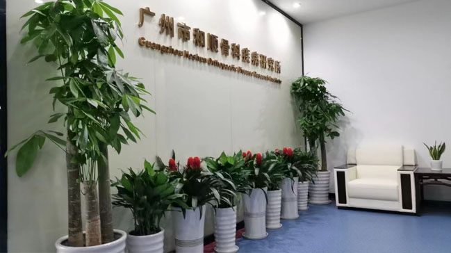 广州海珠区绿植租摆 办公室前台LOGO墙绿植安排