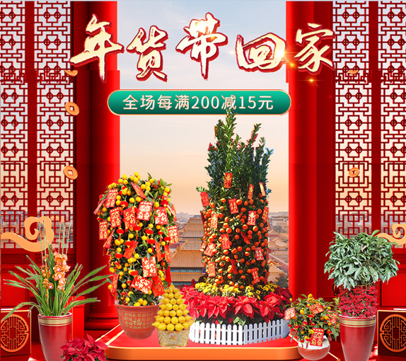 2024年广州年桔购买预定现在开始，越早订购实惠更多！